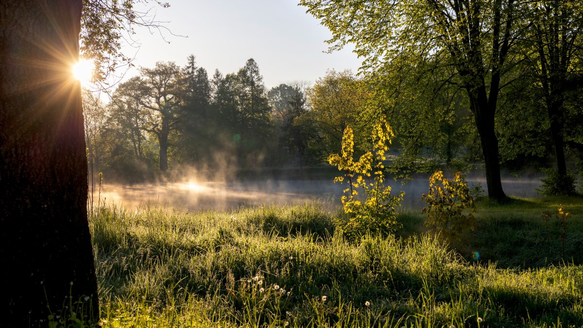 Votre système immunitaire à l’heure d’été