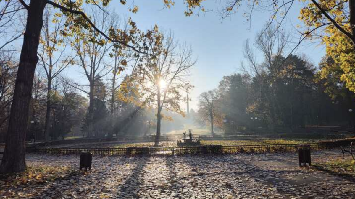 Votre système immunitaire est plus efficace tôt le matin