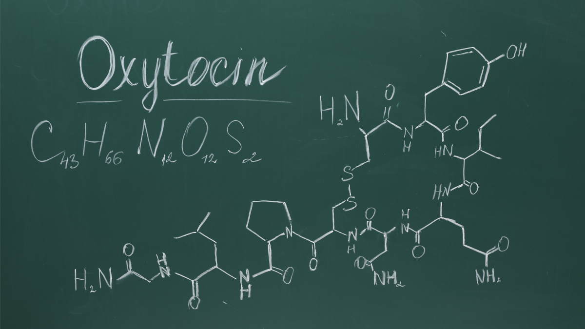 Les hormones de l’amour