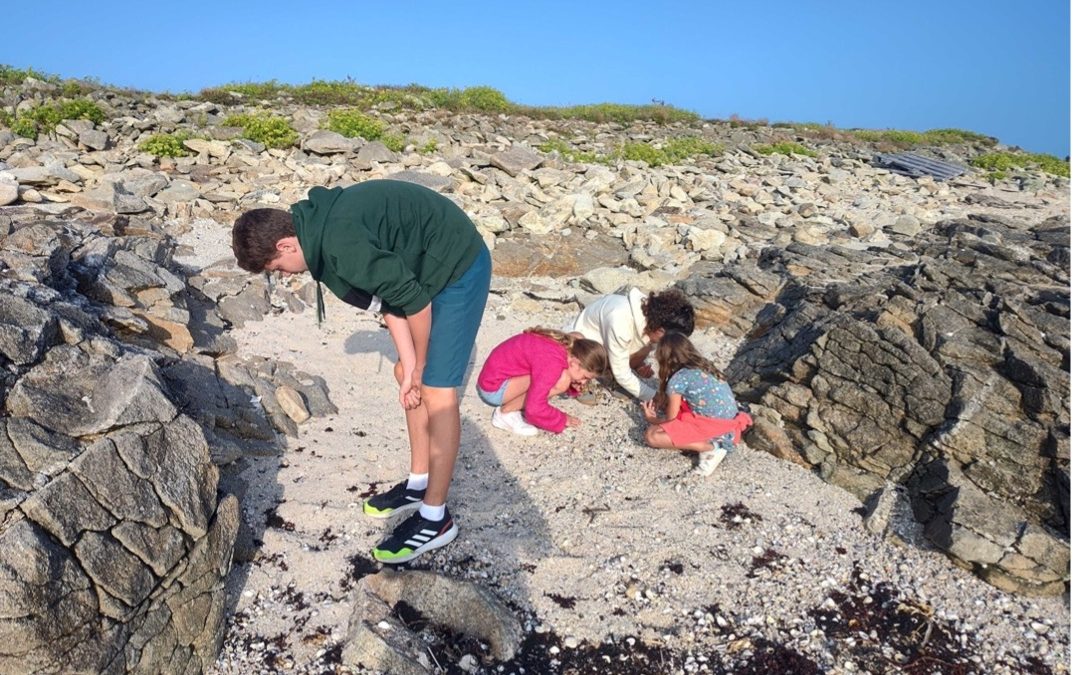 Que font-ils, là, tous penchés ?