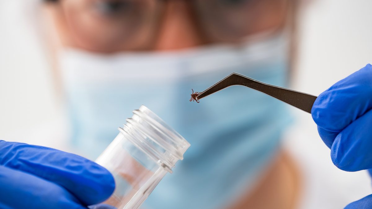 Le problème avec les théories du complot