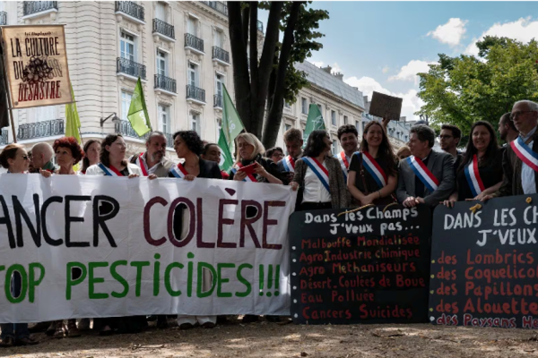 Pendant que la France brûle, les Sénateurs enfument votre santé