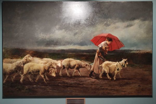 Parfum pluie d’été