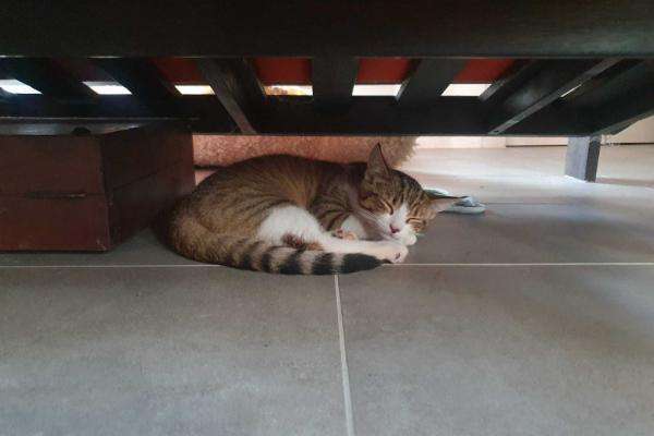 Ça me fatigue